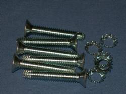 1000231 SCREW SET DOOR STRICKER 66-70 B-BODY