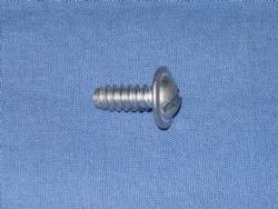 1008249 SCREW LICENSE PLATE