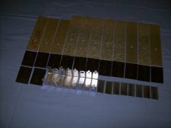 1601069 LEAF SPRING REBUILD KIT W/HIPO