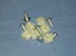 1000011A LICENSE PLATE NUT/SCREW KIT