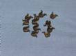 1000356 CLIP SET GRILL TRIM CLIPS 72-74 CUDA
