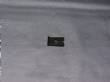 1003770 U-NUT USE WITH #8 SCREW